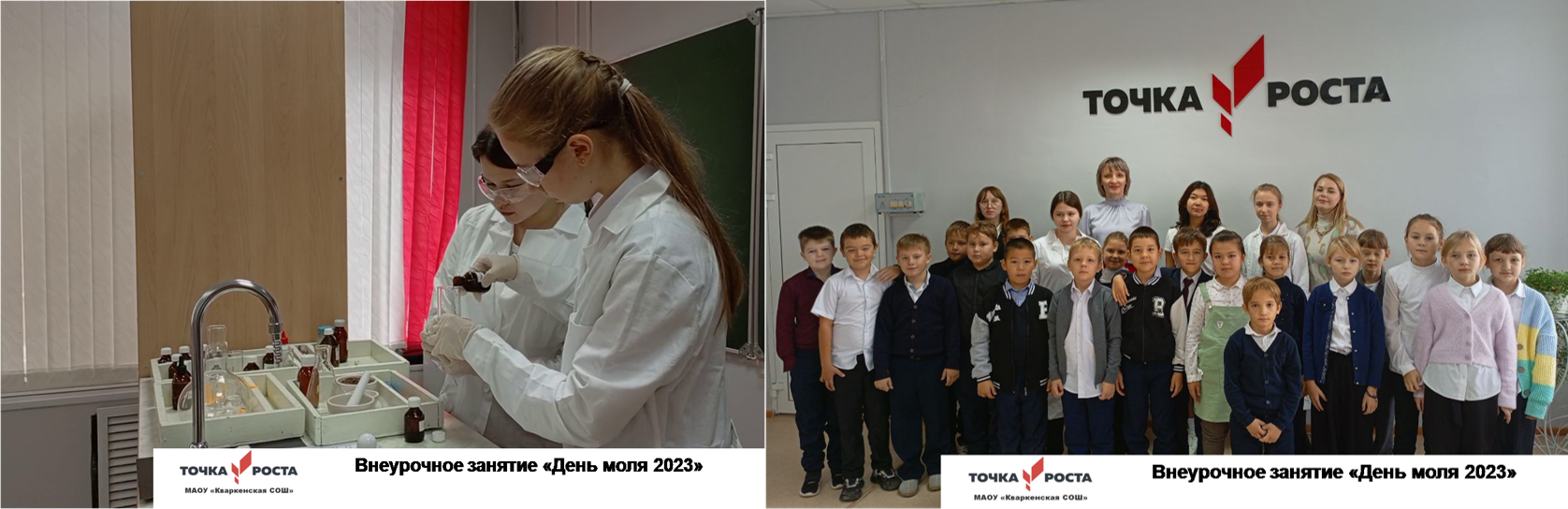 День моля.